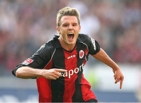 探讨这颗新 探讨这颗新